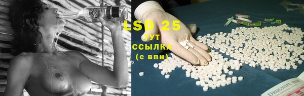сатива Вязники