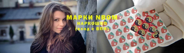 сатива Вязники