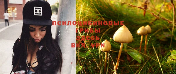 дурь Вяземский