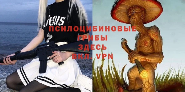 меф Горнозаводск