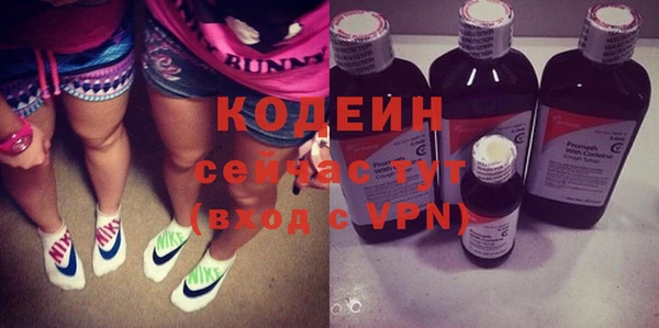 дурь Вяземский