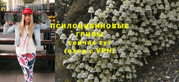 МДМА Горняк