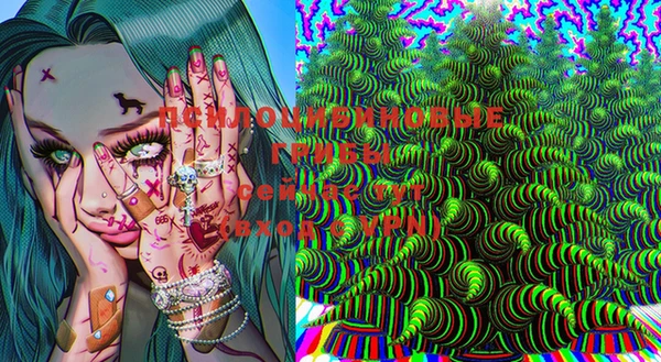 дурь Вяземский